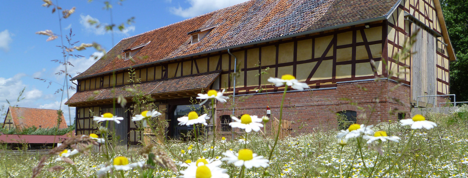 Stallscheune aus Asterode, im Vordergrund ist eine Blumenwiese