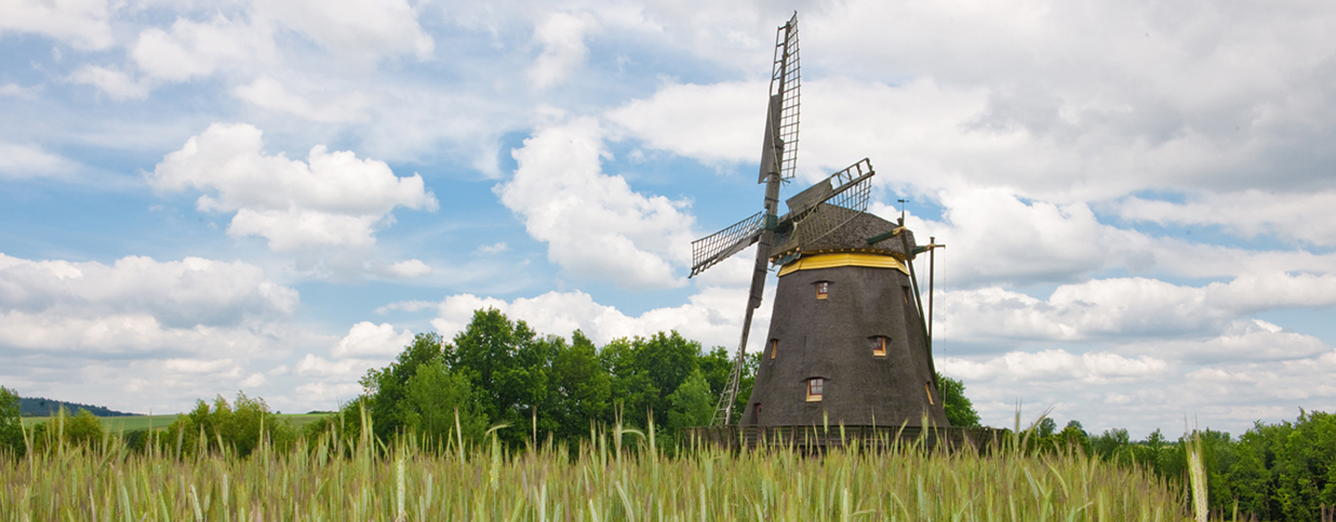 Kappenwindmuehle aus Borsfleth Die WIndmühle auf grünen Feldern.